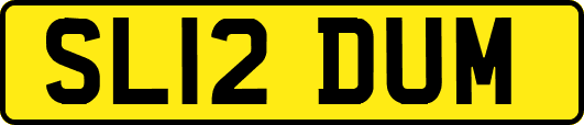 SL12DUM