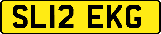 SL12EKG