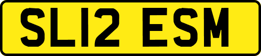 SL12ESM