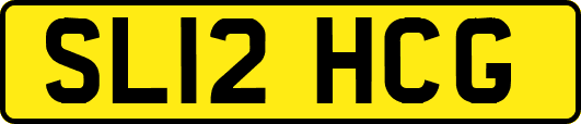 SL12HCG