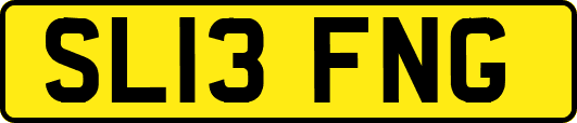 SL13FNG