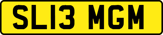 SL13MGM