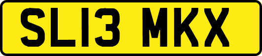 SL13MKX