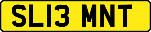 SL13MNT
