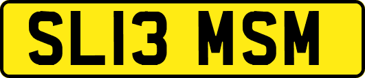 SL13MSM
