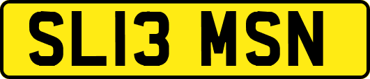 SL13MSN