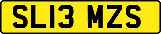 SL13MZS