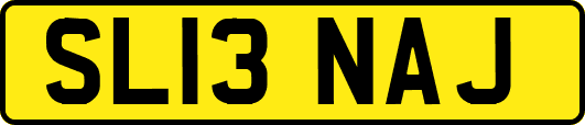 SL13NAJ