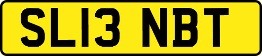 SL13NBT
