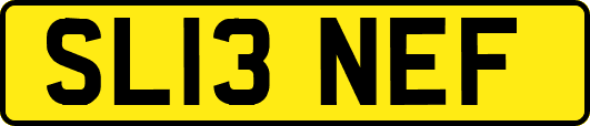 SL13NEF