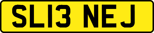 SL13NEJ