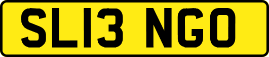 SL13NGO
