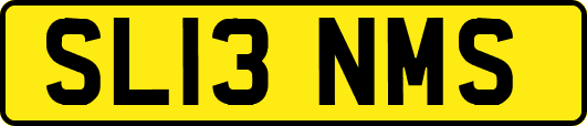 SL13NMS
