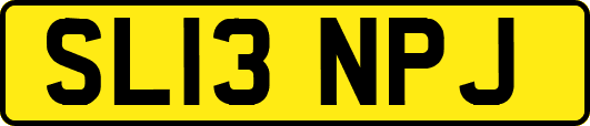 SL13NPJ