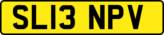 SL13NPV
