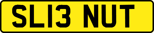SL13NUT