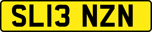 SL13NZN