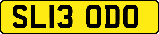 SL13ODO