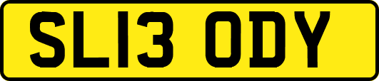 SL13ODY