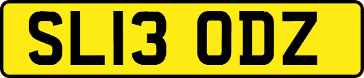 SL13ODZ