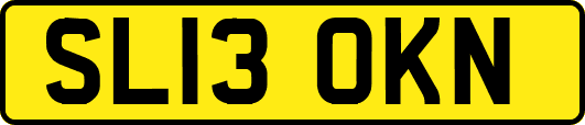 SL13OKN