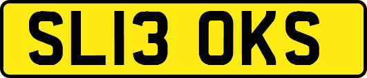 SL13OKS