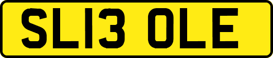 SL13OLE