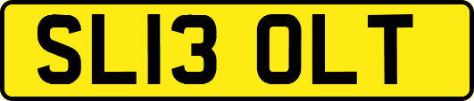 SL13OLT