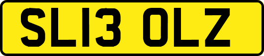 SL13OLZ