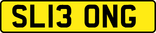 SL13ONG