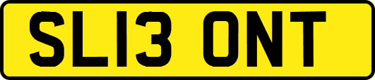 SL13ONT