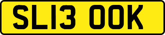SL13OOK