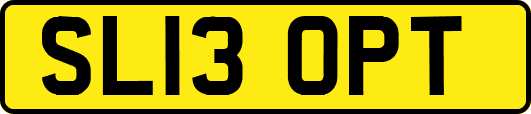 SL13OPT