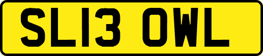 SL13OWL