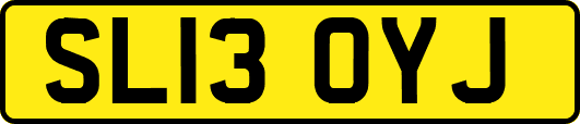SL13OYJ