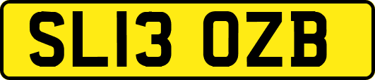 SL13OZB