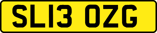 SL13OZG