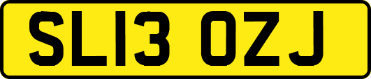 SL13OZJ
