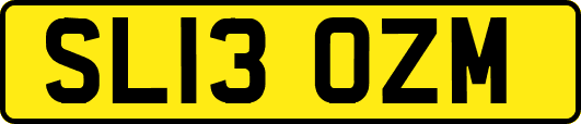 SL13OZM
