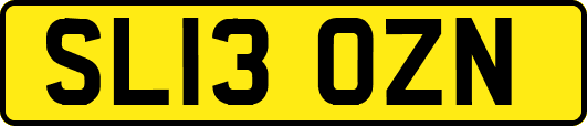 SL13OZN