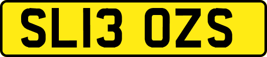 SL13OZS