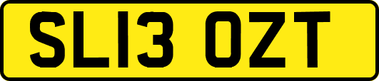 SL13OZT