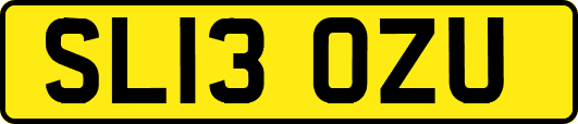SL13OZU