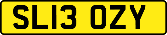 SL13OZY