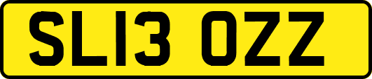 SL13OZZ