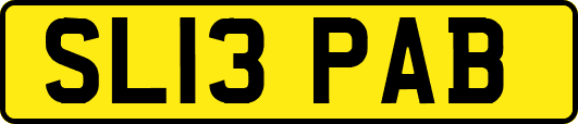 SL13PAB