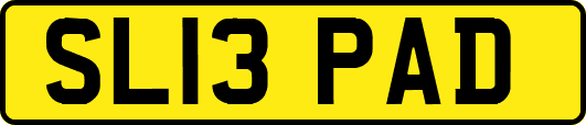 SL13PAD