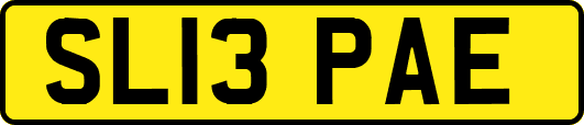 SL13PAE