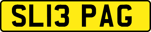 SL13PAG