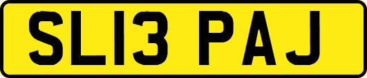 SL13PAJ
